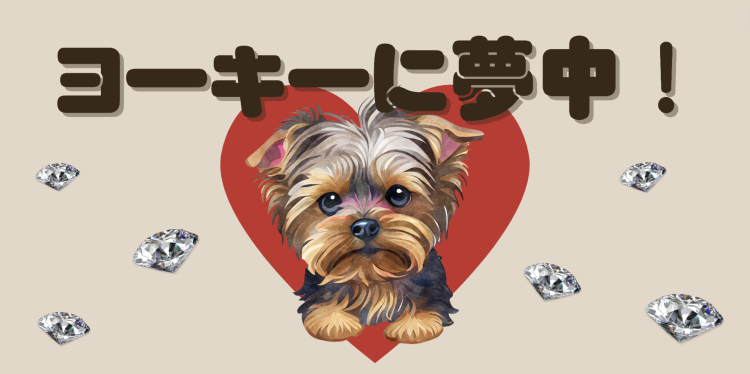 ヨーキーに夢中！
